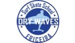 Dry Waves Surf Skate